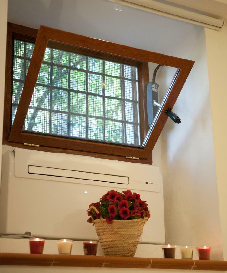 Domus Sanfelice Suite Napoli Bagian luar foto